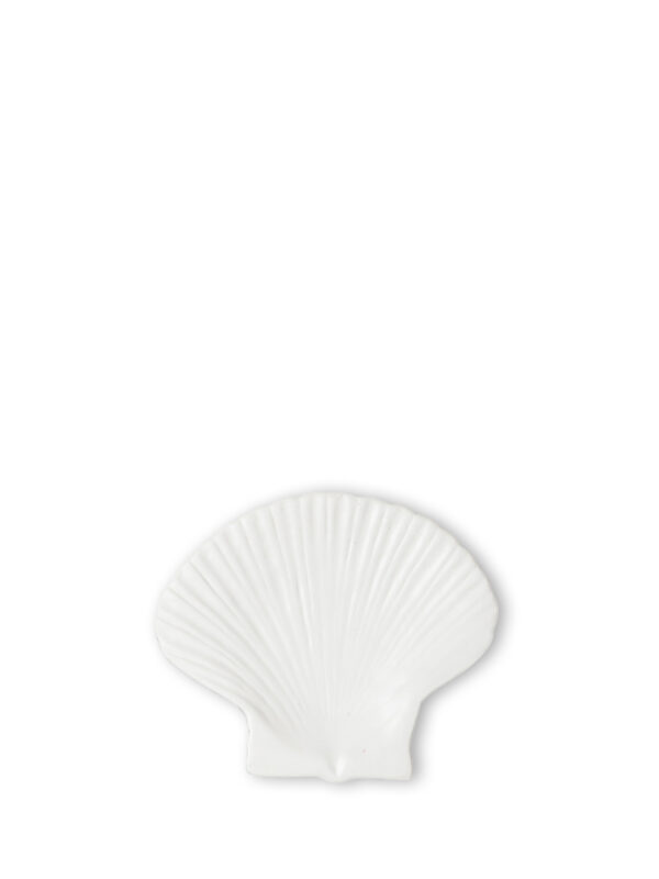 Lautanen Shell S